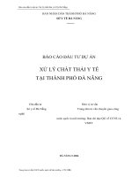 Báo cáo đầu tư dự án xử lý chất thải y tế tại thành phố Đà Nẵng