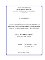 Khảo sát điều kiện nuôi cấy chủng virus NIBRG 267 (a shanghai 2 2013(H7N9)xPR8) trên trứng gà có phôi để sản xuất vắc xin cúm a h7n9 ở quy mô công nghiệp 
