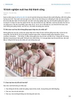 10 kinh nghiệm nuôi heo thịt thành công