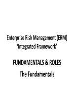 Enterprise risk management ERM fundamental roles