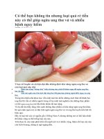 Có thể bạn không tin nhưng loại quả rẻ tiền này có thể giúp ngừa ung thư vú và nhiều bệnh nguy hiểm 