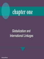 Chap001 international management  globalization and international lingages