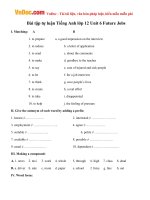 Bài tập tự luận Tiếng Anh lớp 12 Unit 6 Future Jobs