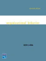OB11 chapter 1 WHat is organizational behavior 