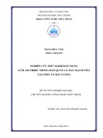 Nghiên cứu thử nghiệm sử dụng acid ascorbic trong bảo quản cá ngừ đại dương tại công ty TNHH hải vương 