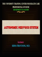 Bài Giảng Hệ Thống Dây Thần Kinh