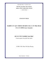 Nghiên cứu quy trình chế biến chả cá từ phụ phẩm của cá chẽm (lates calcarifer) 