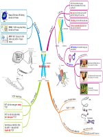 Cấu trúc và chức năng của nhiễm sắc thể