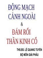 Động Mạch Cảnh Ngoài Và Đám Rối Thần Kinh Cổ