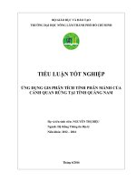 Ứng dụng GIS phân tích tính phân mảnh của cảnh quan rừng tại tỉnh Quảng Nam