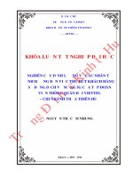 Nghiên cứu định lượng về các nhân tố ảnh hưởng đến việc thu hút khách hàng sử dụng dịch vụ mạng 3G của Tập Đoàn Viễn Thông Quân Đội Viettel - Chi Nhánh Thừa Thiên Huế