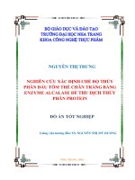 Nghiên cứu xác định chế độ thủy phân đầu tôm thẻ chân trắng bằng enzyme alcalase để thu dịch thủy phân protein 