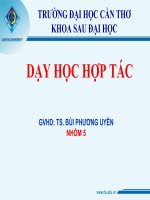 Báo cáo chủ đề dạy học hợp tác  PP dạy học Toán