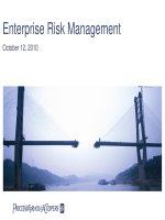 ERM  enterprise risk management pricewaterhousecoopers 