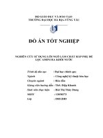 Nghiên cứu sử dụng lõi ngô làm chất hấp phụ để lọc amoni ra khỏi nước