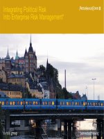 Integrating political risk into ERM 