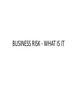 Business risk what is this 