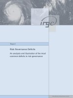 Risk governance deficits an analysis and illustration of the most common 