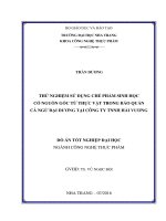 Thử nghiệm sử dụng chế phẩm sinh học có nguồn gốc từ thực vật trong bảo quản cá ngừ đại dương tại công ty TNHH hải vương 