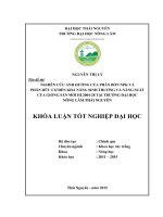 Nghiên cứu ảnh hưởng của phân bón NPK và phân hữu cơ đến khả năng sinh trưởng và năng suất của giống sắn mới HL200428 tại trường Đại học Nông Lâm Thái Nguyên