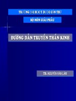 Bài Giảng Đường Dẫn Truyền Thần Kinh