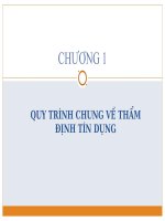 CHUONG 1   QUY TRINH CHUNG VE THAM DINH TIN DUNG