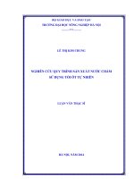NGHIÊN cứu QUY TRÌNH sản XUẤT nước CHẤM sử DỤNG tỏi ớt tự NHIÊN 