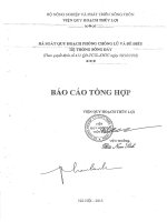 Báo cáo tổng hợp Quy hoạch sông Đáy
