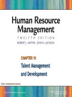 Human resrouce management 12th  mathis jacson chapter 0010 