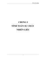 Đồ Án Tốt Nghiệp Sự Cháy Nhiên Liệu FO