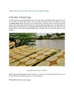 Công nghệ xử lý nước thải sản xuất bánh tráng