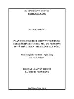 Phân tích tình hình cho vay tiêu dùng tại ngân hàng TMCP đầu tư và phát triển việt nam   chi nhánh đak nông 