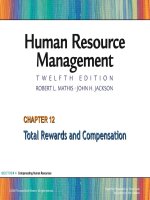 Human resrouce management 12th  mathis jacson chapter 0012 