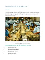 Công nghệ xử lý nước thải chế biến bột cá