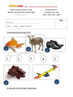 Đề thi học kỳ 1 môn tiếng Anh lớp 2 trường Tiểu học Đoàn Thị Nghiệp, Tiền Giang năm học 2015 - 2016 có file nghe và đáp án