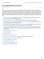 15 bí quyết trồng hoa lan tại nhà