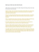 Bàn tay vô hình của nền kinh tế tự do 