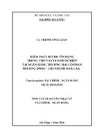 Kiểm soát rủi ro tín dụng trong cho vay doanh nghiệp tại ngân hàng TMCP phương đông   chi nhánh đắk lắk 