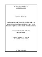 Kiểm soát rủi ro tín dụng trong cho vay hộ kinh doanh của ngân hàng TMCP công thương việt nam – chi nhánh tỉnh đăk nông 