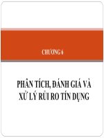 CHUONG 6  PHAN TICH DANH GIA XU LY RUI RO TIN DUNG