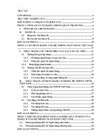 THỰC TRẠNG ỨNG DỤNG HIỆP ước QUỐC tế BASEL II vào QUẢN TRỊ rủi RO hệ THỐNG NGÂN HÀNG THƯƠNG MAI VIỆT NAM