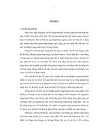 Nghiên cứu chế tạo, khảo sát các tính chất đặc trưng của vật liệu làm anốt cho pin ion liti trên cơ sở hợp chất SnO2