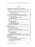 Khóa luận nghiên cứu sử dụng khí biogas để chạy máy bơm nước 