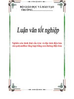 Luận văn nghiên cứu hình thái cấu trúc và đặc tính điện hóa của polyaniline tổng hợp bằng con đường điện hóa 