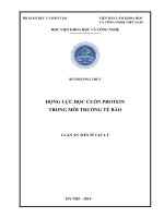 Động lực học cuốn protein trong môi trường tế bào - Copy