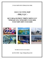 QUY HOẠCH PHÁT TRIỂN NHÂN LỰC TỈNH QUẢNG NINH ĐẾN NĂM 2020, TẦM NHÌN ĐẾN NĂM 2030