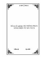 Khóa luận hệ thống phun xăng điện tử efi tccs 