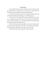 Xây dựng và hướng dẫn học sinh lớp 10 THPT giải hệ thống bài tập chương Động lực học chất điểm - Vật lí 10 nâng cao theo hướng phát triển năng lực giải quyết vấn đề