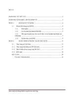 MỘT số KIẾN NGHỊ HOÀN THIỆN hệ THỐNG KIỂM SOÁT nội bộ TRONG DN NHÀ nước tại VIỆT NAM