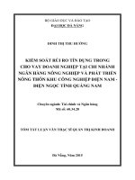 Kiểm soát rủi ro tín dụng trong cho vay doanh nghiệp tại chi nhánh NHNo&PTNT KCN Điện Nam - Điện Ngọc, tỉnh Quảng Nam
